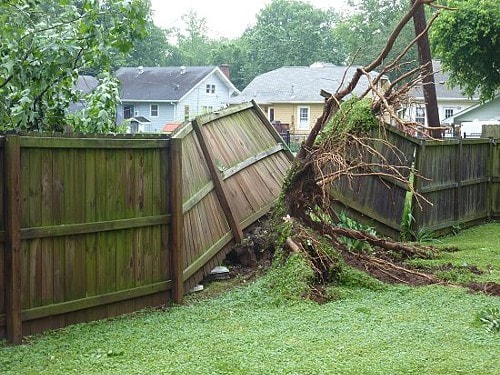 fence-damage-from-tree